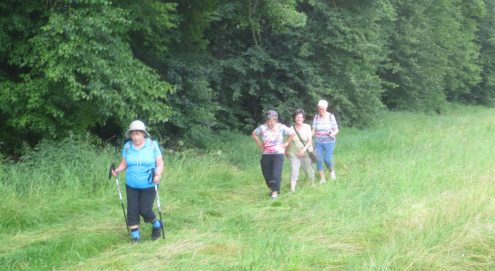 20240618-Neckar